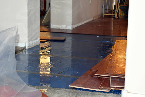 Professional Water Damage Restoration technician working in Upper Black Eddy, PA